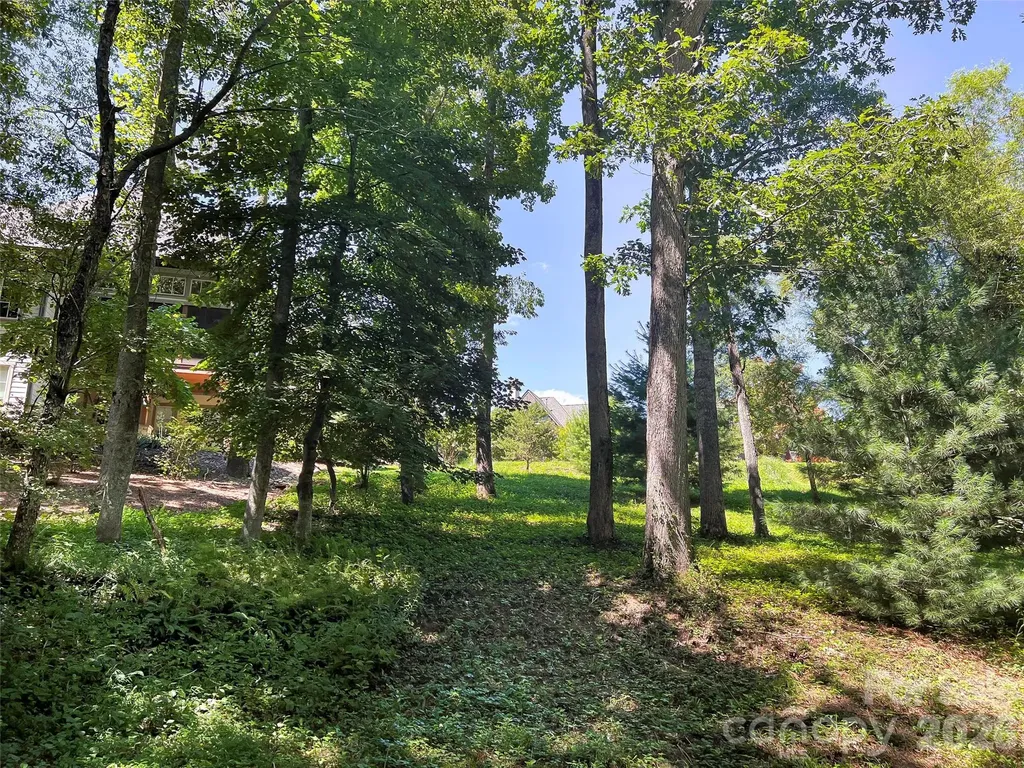 19 Mountain Orchid Way Arden NC 28704