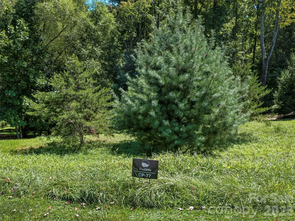 19 Mountain Orchid Way Arden NC 28704