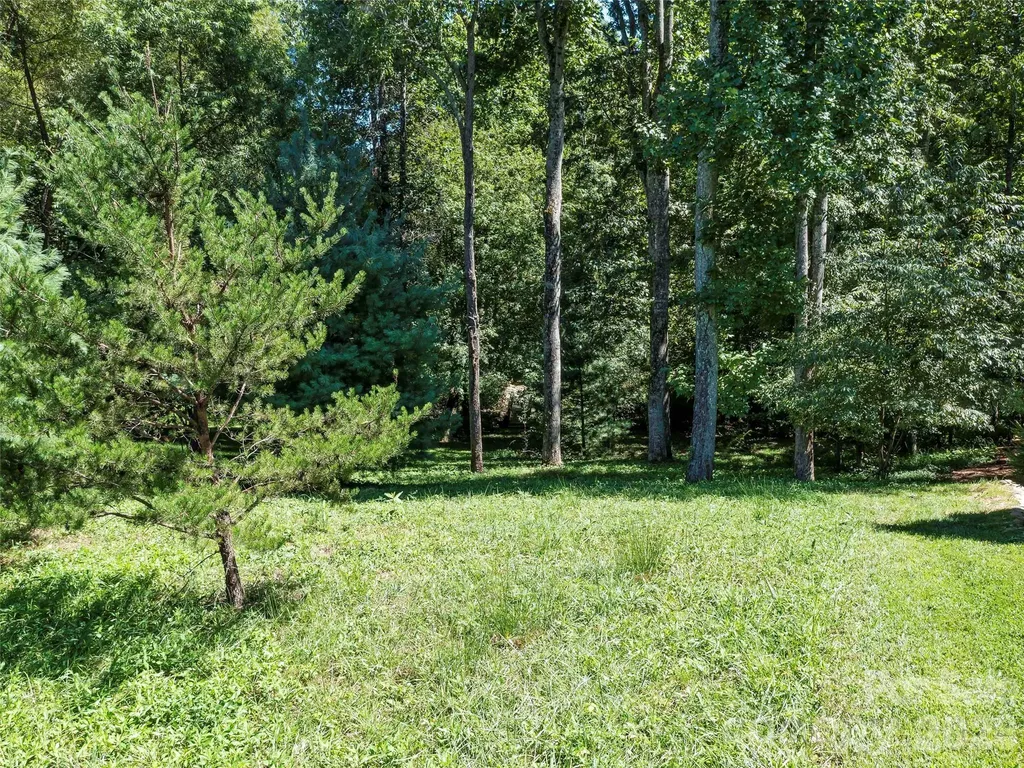 19 Mountain Orchid Way Arden NC 28704