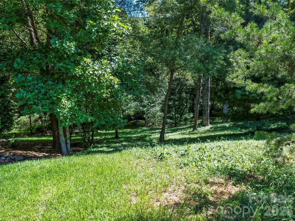 19 Mountain Orchid Way Arden NC 28704