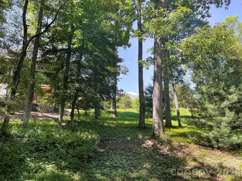 19 Mountain Orchid Way Arden NC 28704