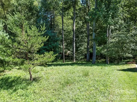 19 Mountain Orchid Way Arden NC 28704