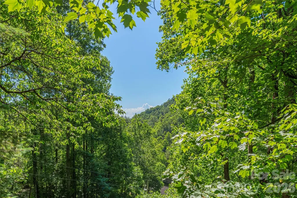 154 Timberside Drive Mars Hill NC 28754