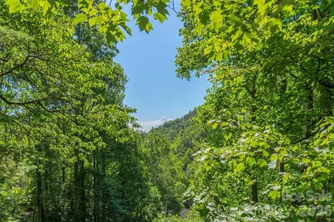 154 Timberside Drive Mars Hill NC 28754