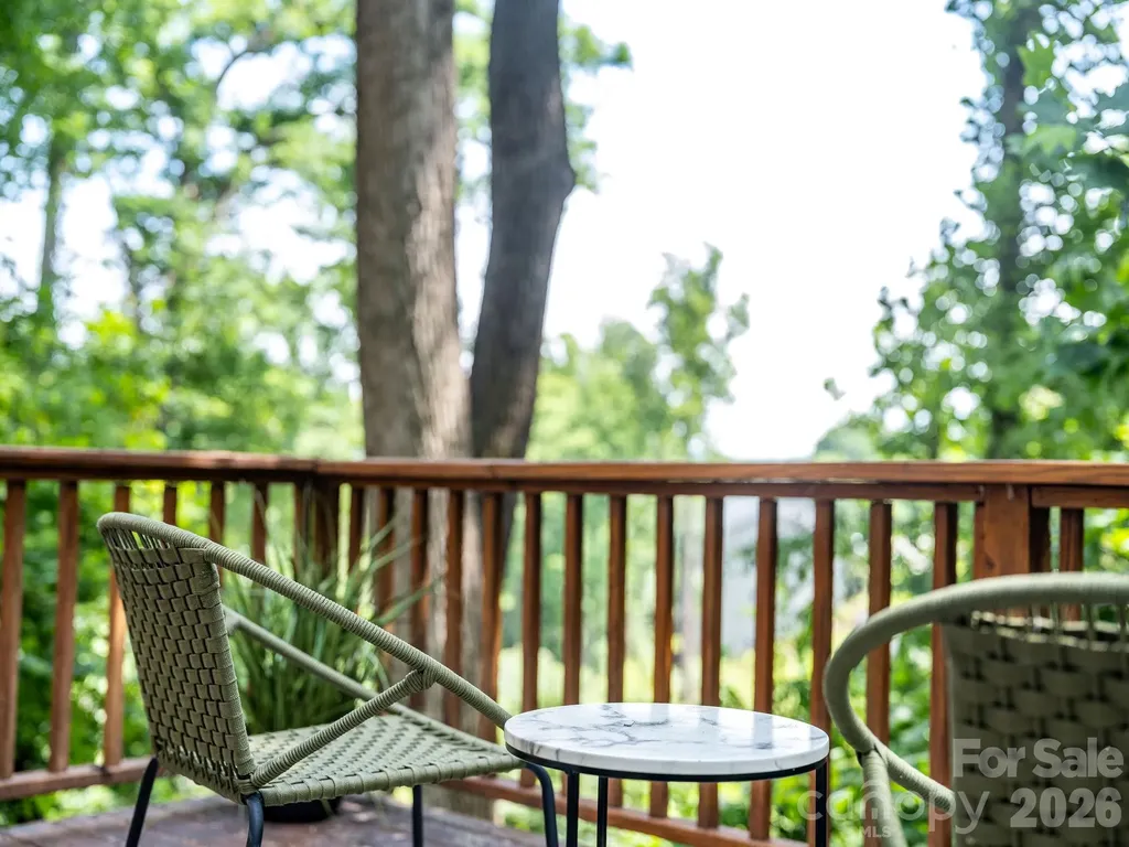 1 Pickwick Road Asheville NC 28803