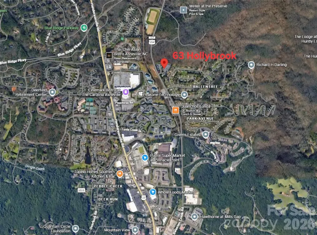 63 Hollybrook Drive Asheville NC 28803