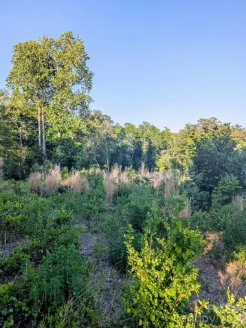 3328 Love Road Kershaw SC 29067