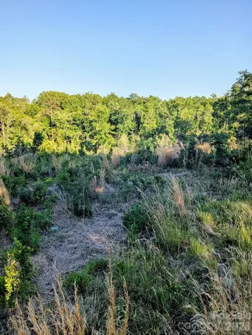 3328 Love Road Kershaw SC 29067