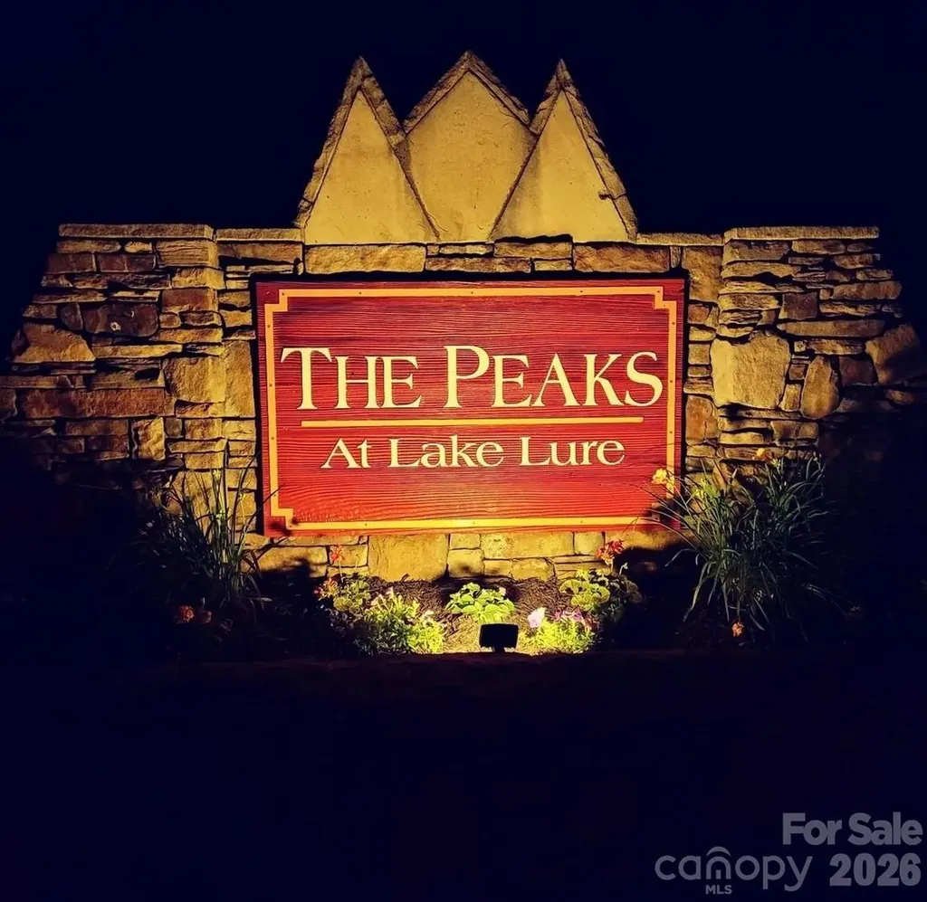 301 Peaks Drive Lake Lure NC 28746