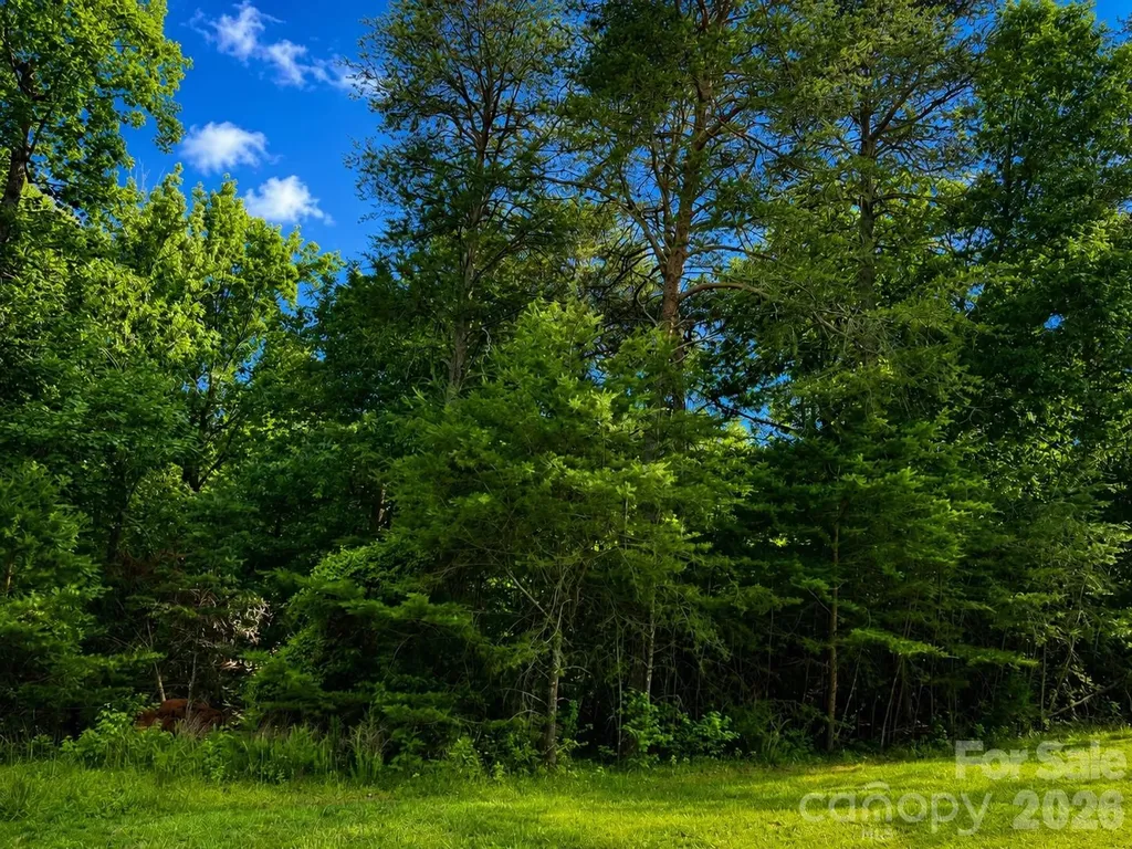 264 Badin View Drive New London NC 28127
