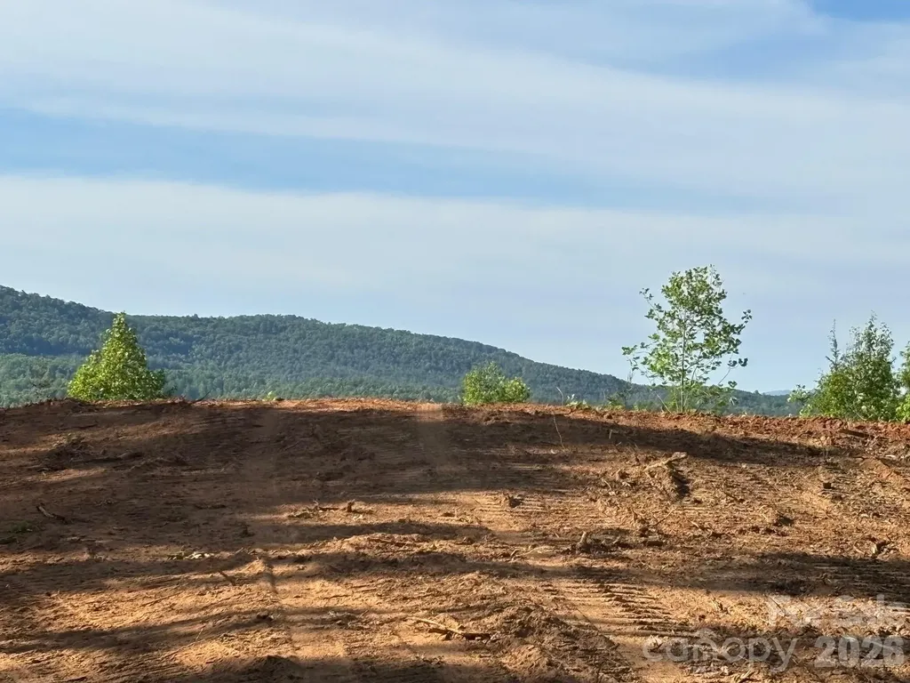 Tbd Vein Mountain Road Nebo NC 28761