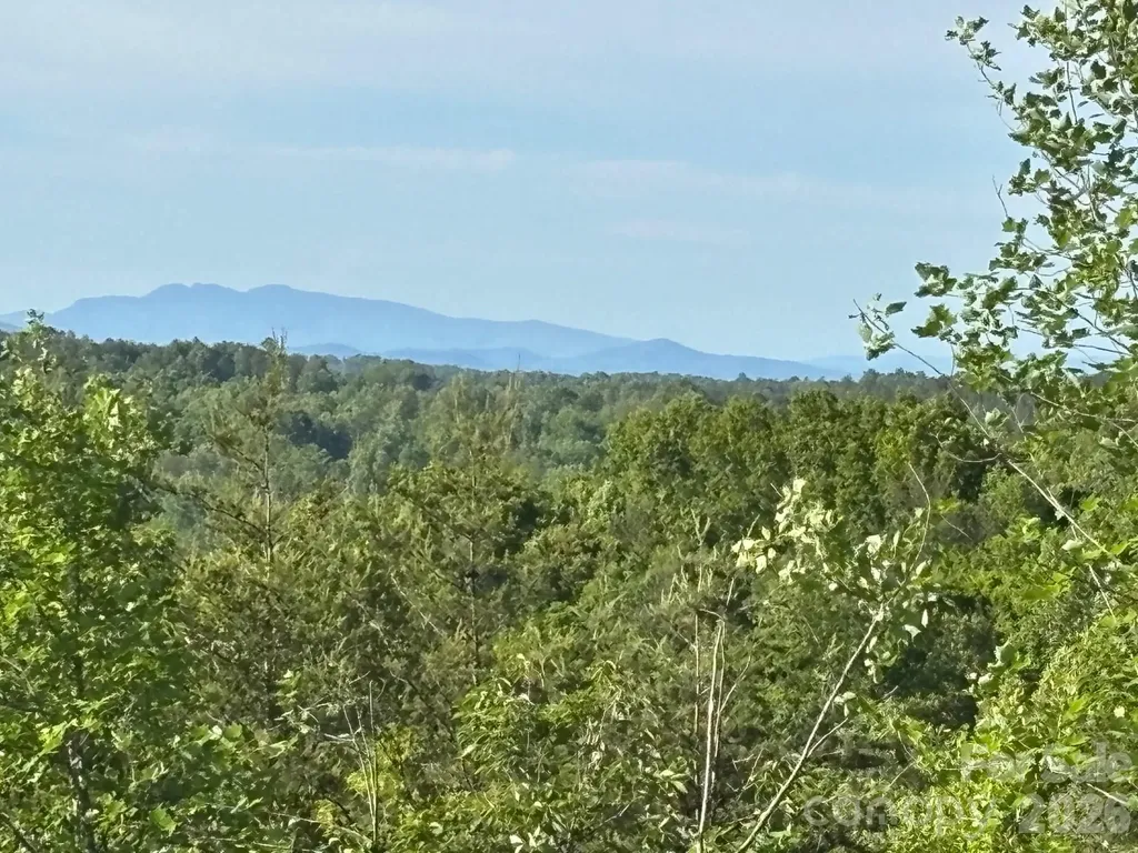 Tbd Vein Mountain Road Nebo NC 28761