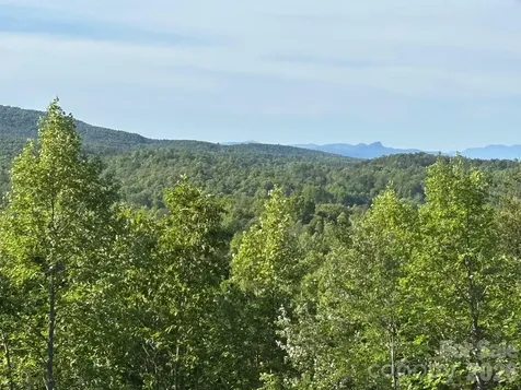 Tbd Vein Mountain Road Nebo NC 28761