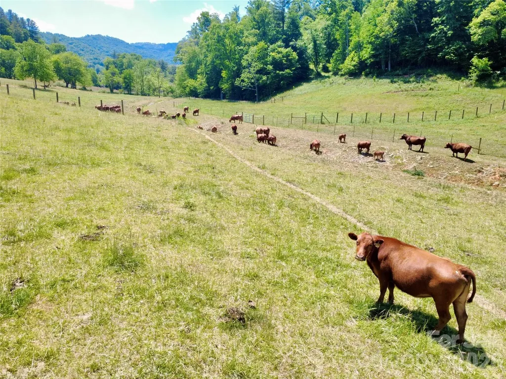 Tbd W Hwy 19 Highway E Burnsville NC 28714