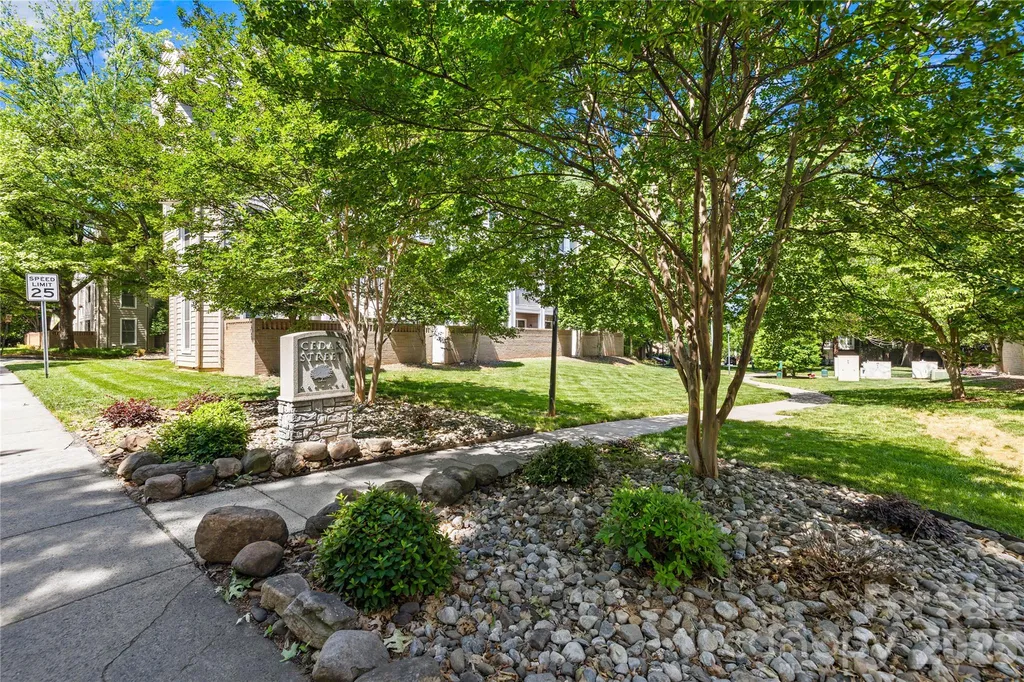 244 S Cedar Street Charlotte NC 28202