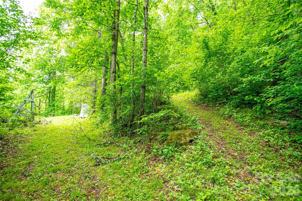 658 Tilley Creek Road Cullowhee NC 28723