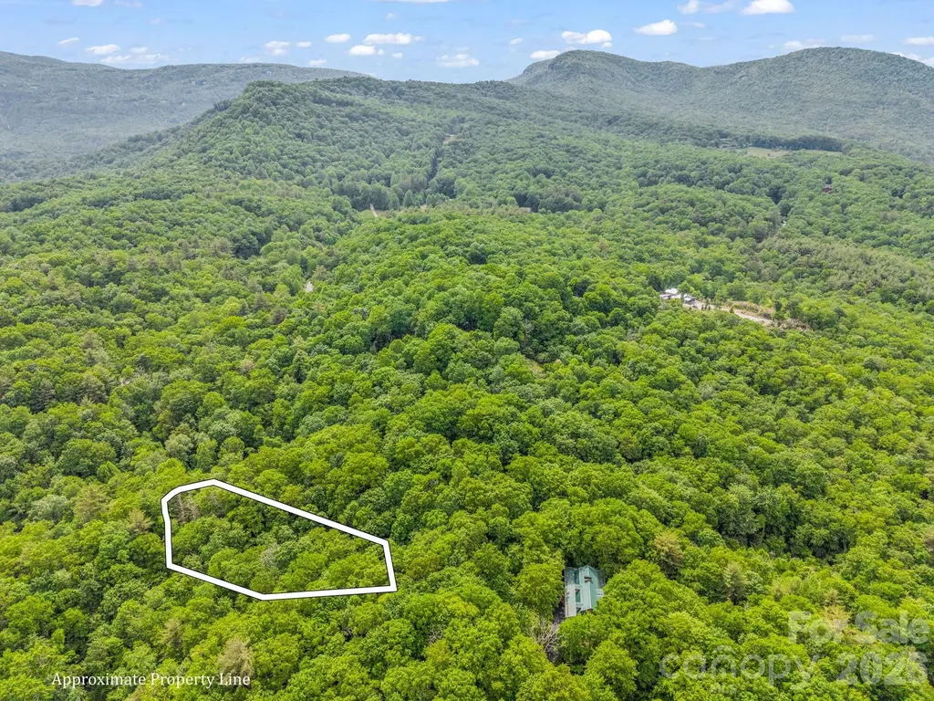 Tbd Toxaway Trail Lake Toxaway NC 28747