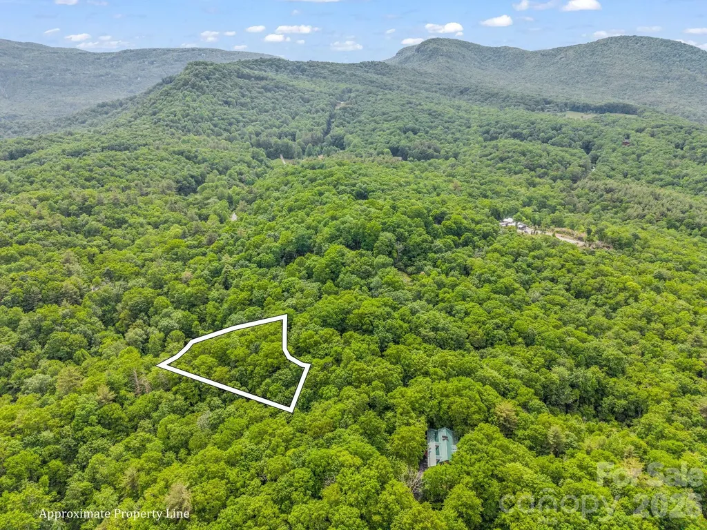 Tbd Toxaway Trail Lake Toxaway NC 28747
