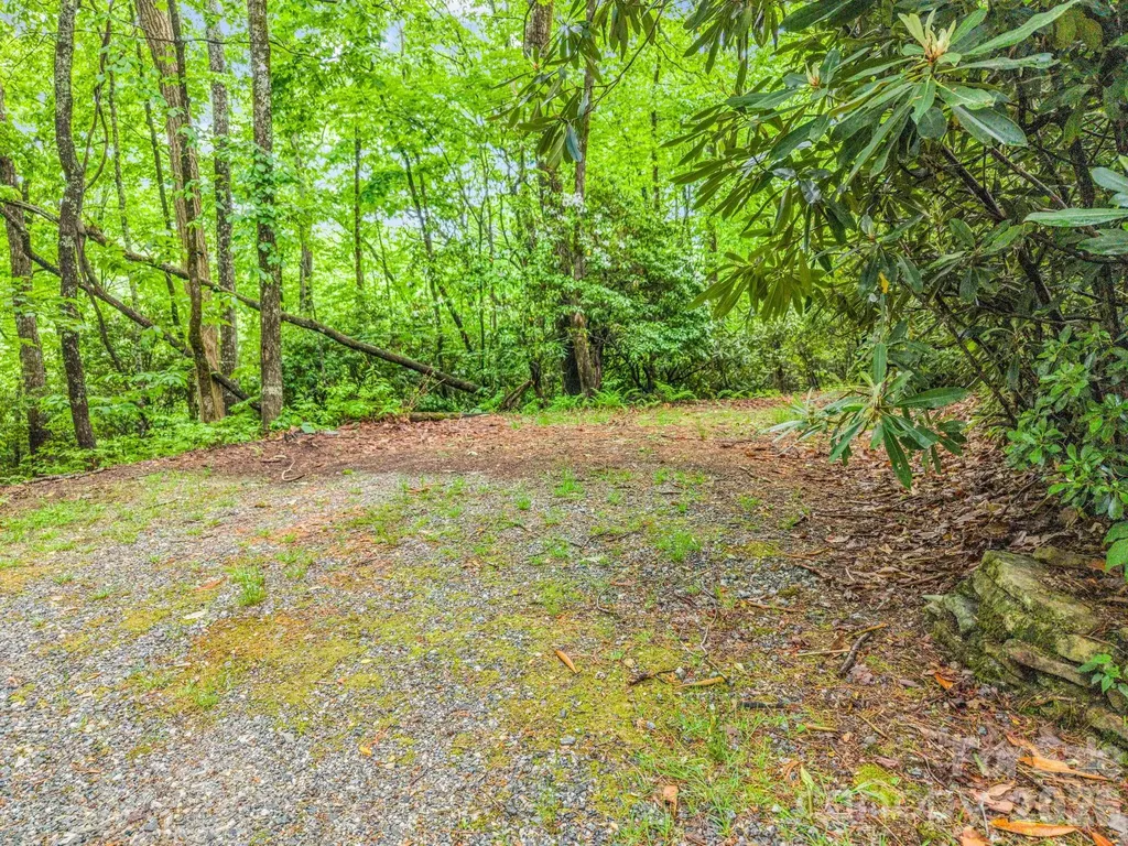 Tbd Toxaway Trail Lake Toxaway NC 28747