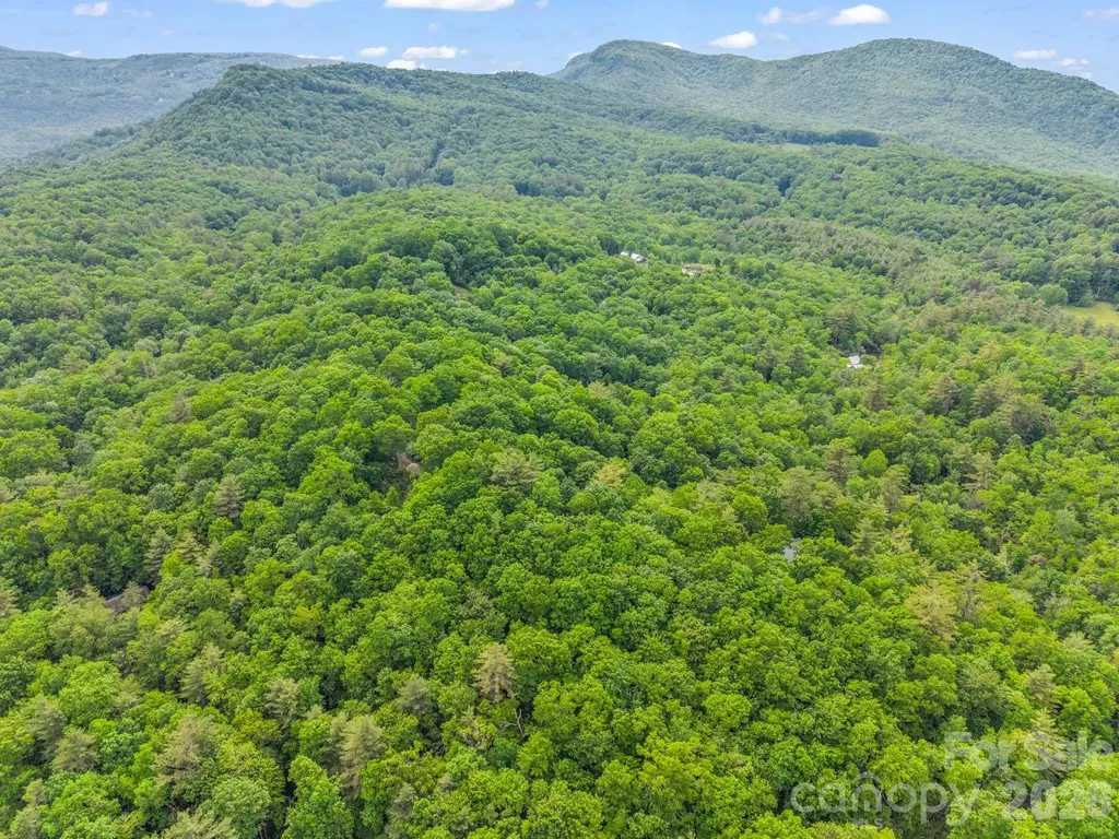 Tbd Toxaway Trail Lake Toxaway NC 28747