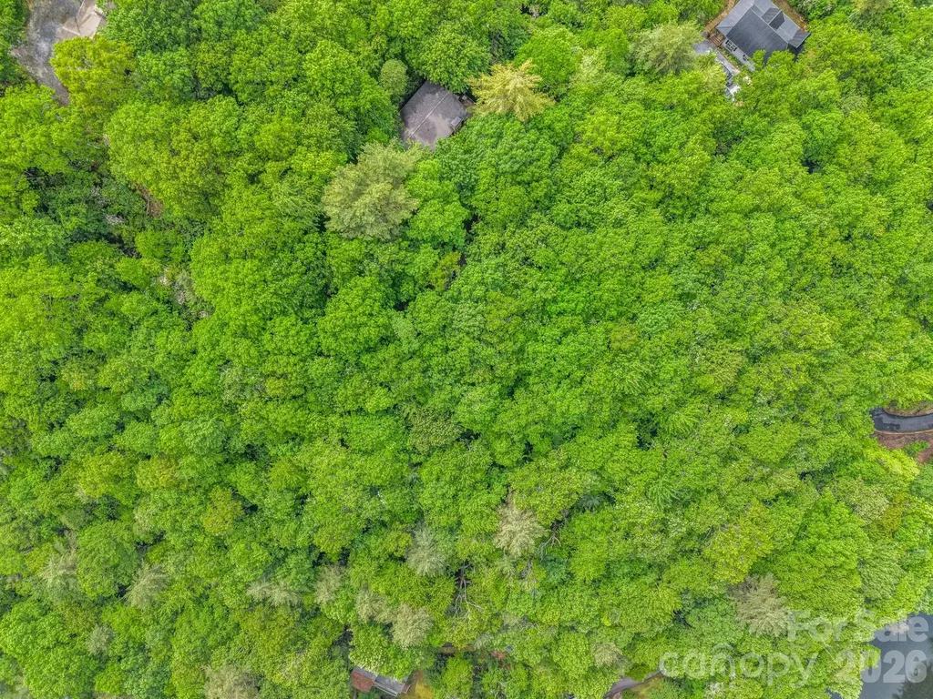 Tbd Toxaway Trail Lake Toxaway NC 28747