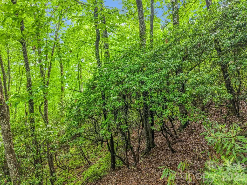 Tbd Toxaway Trail Lake Toxaway NC 28747