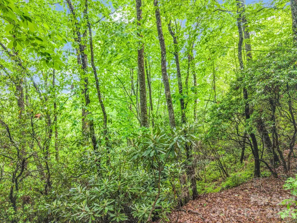 Tbd Toxaway Trail Lake Toxaway NC 28747