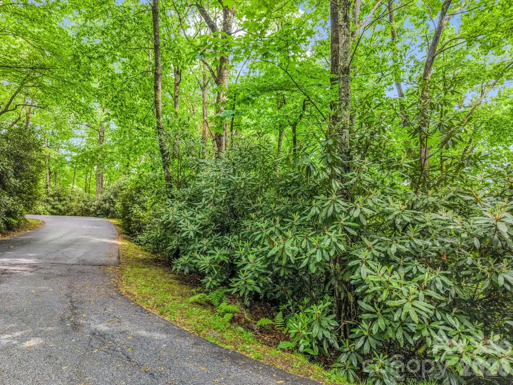 Tbd Toxaway Trail Lake Toxaway NC 28747