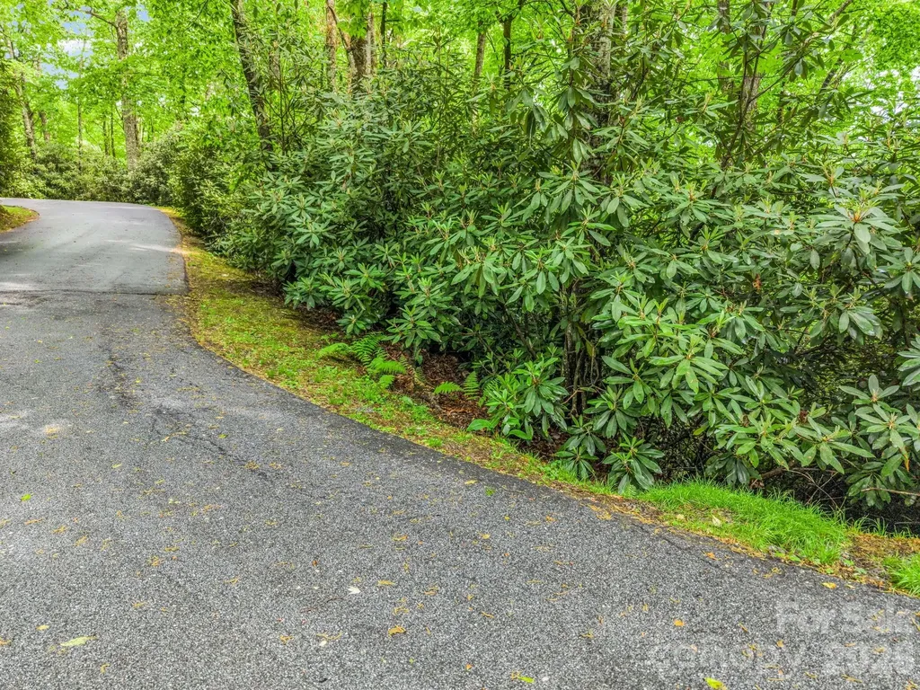 Tbd Toxaway Trail Lake Toxaway NC 28747