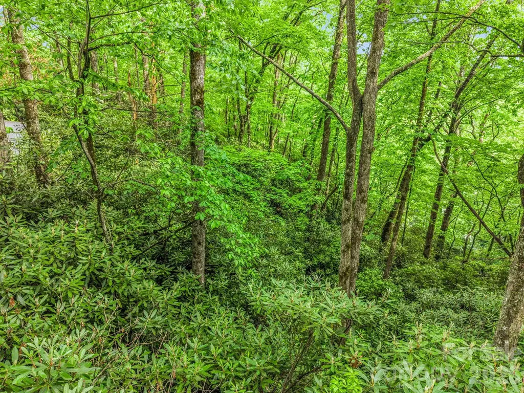 Tbd Toxaway Trail Lake Toxaway NC 28747