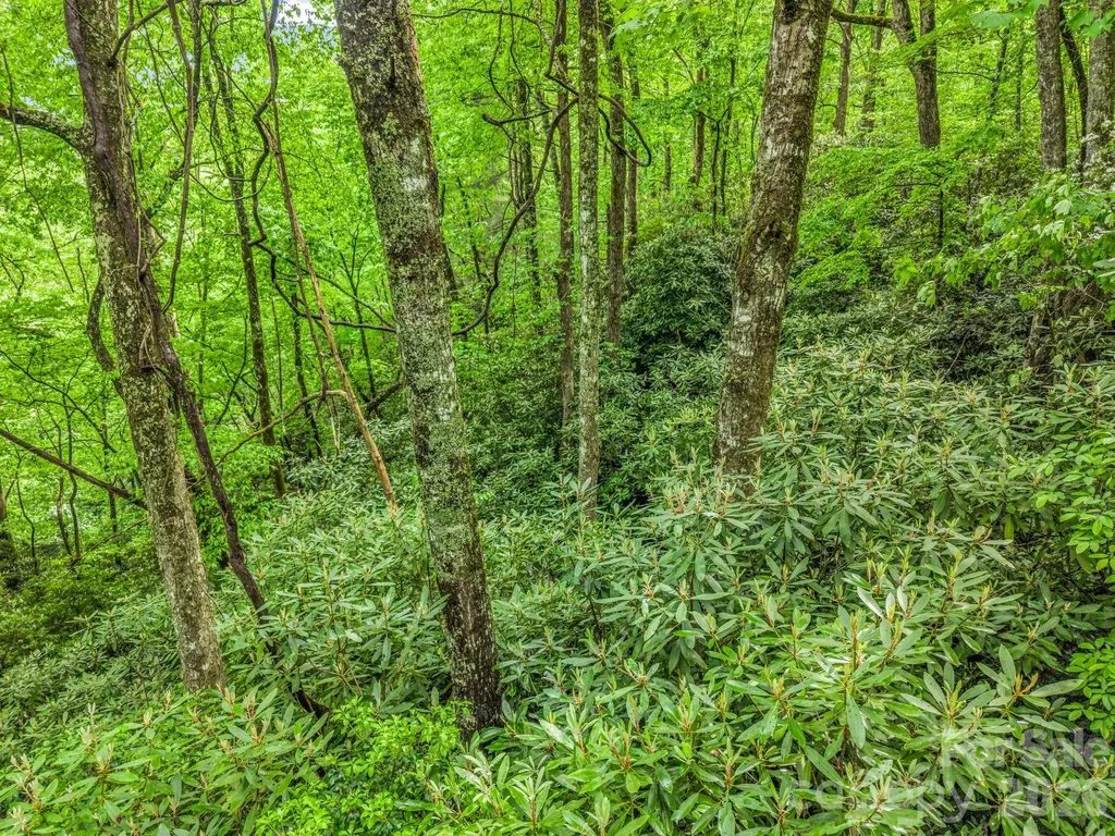Tbd Toxaway Trail Lake Toxaway NC 28747