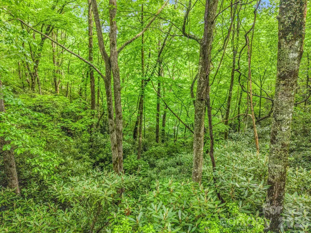 Tbd Toxaway Trail Lake Toxaway NC 28747