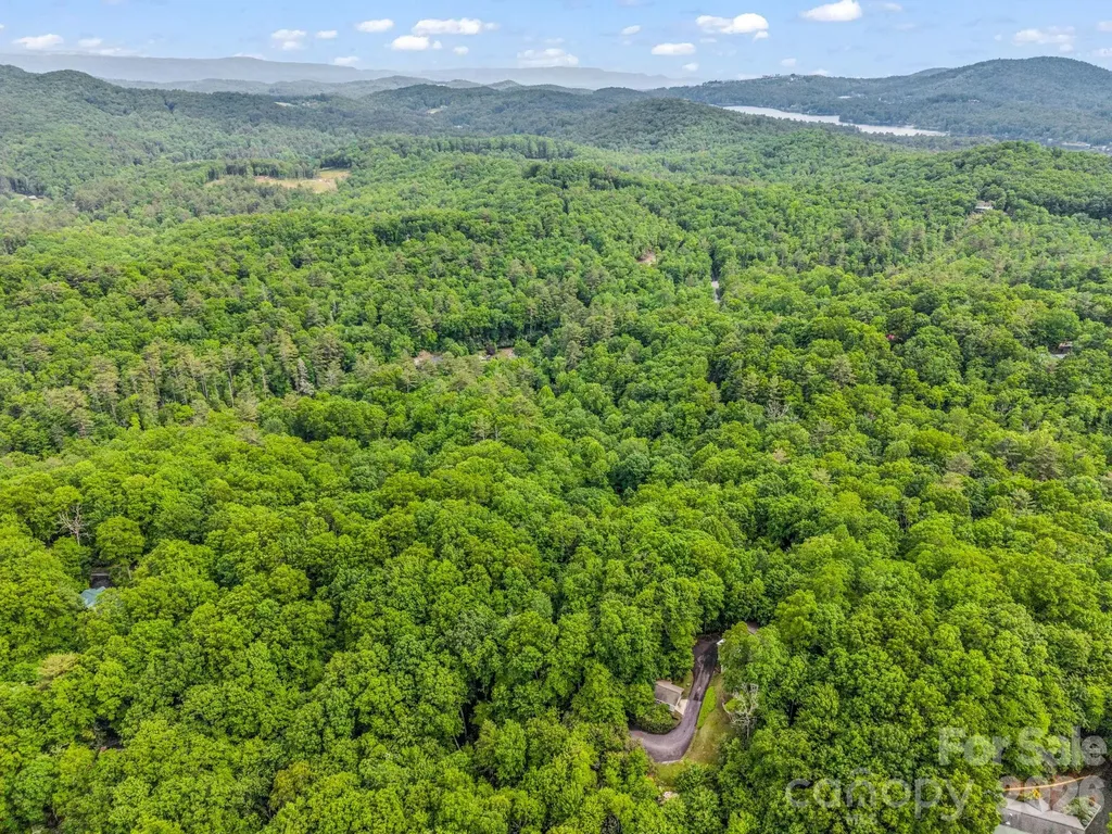 Tbd Toxaway Trail Lake Toxaway NC 28747