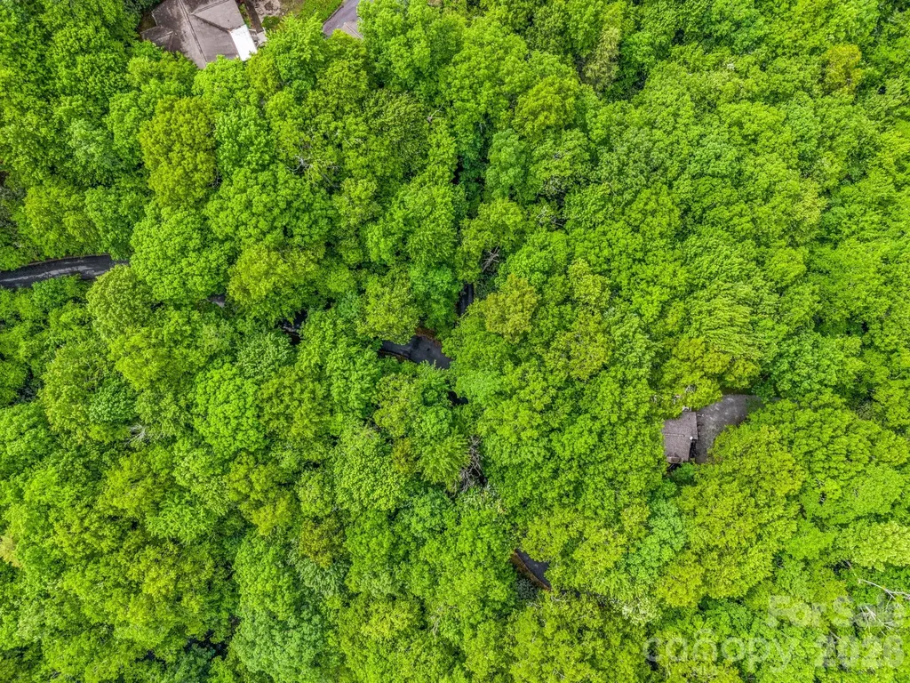 Tbd Toxaway Trail Lake Toxaway NC 28747