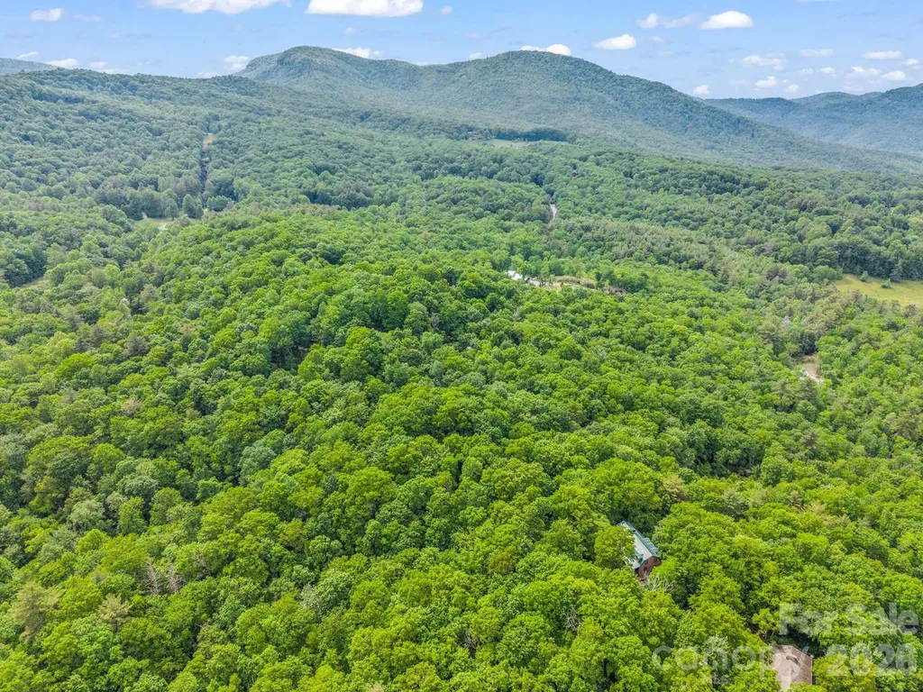 Tbd Toxaway Trail Lake Toxaway NC 28747