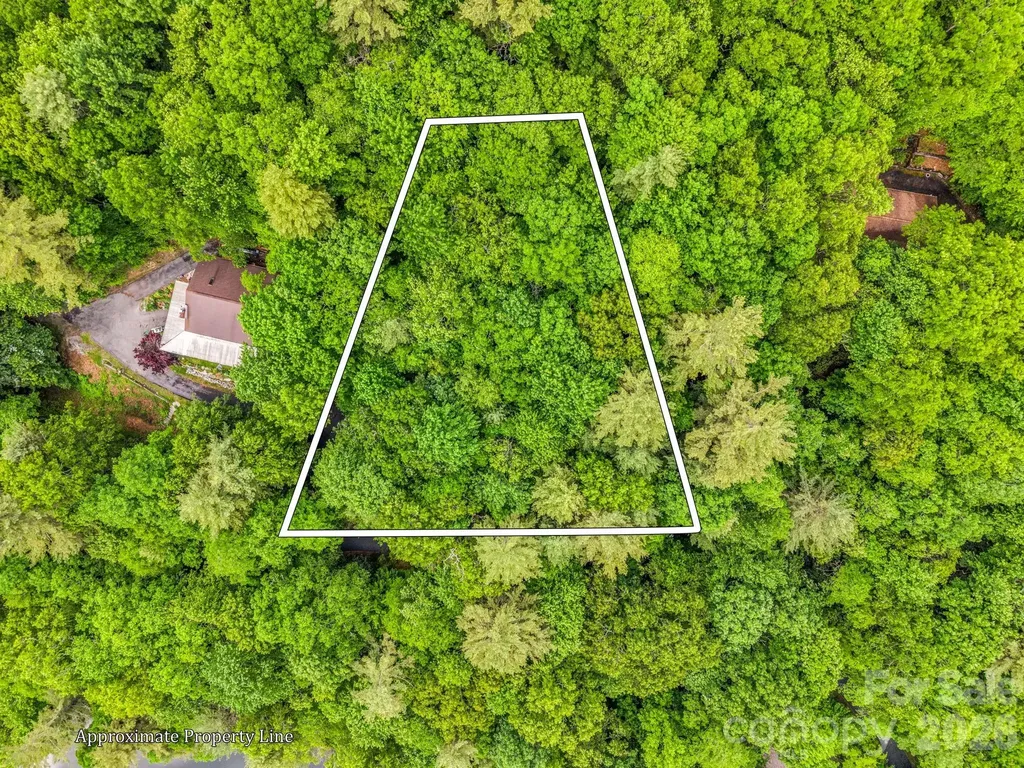 Tbd Toxaway Trail Lake Toxaway NC 28747