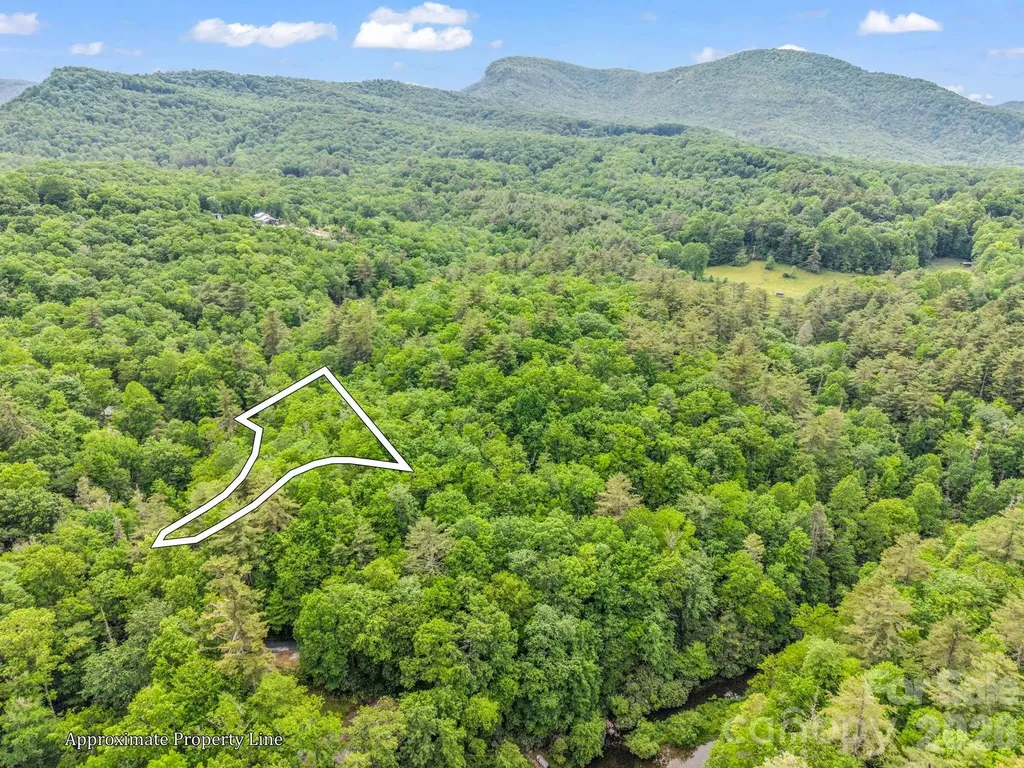 Tbd Toxaway Trail Lake Toxaway NC 28747