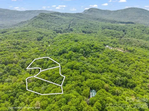 Tbd Toxaway Trail Lake Toxaway NC 28747