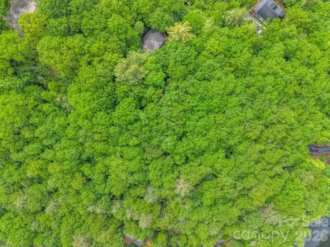 Tbd Toxaway Trail Lake Toxaway NC 28747