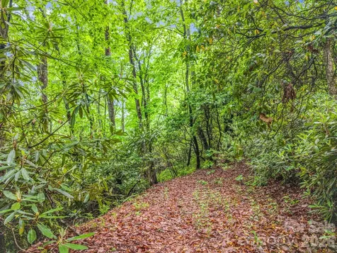 Tbd Toxaway Trail Lake Toxaway NC 28747