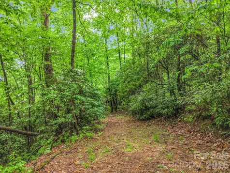 Tbd Toxaway Trail Lake Toxaway NC 28747