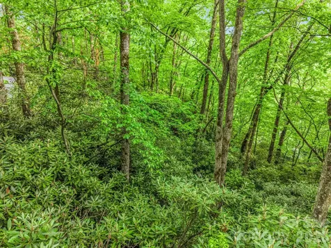 Tbd Toxaway Trail Lake Toxaway NC 28747