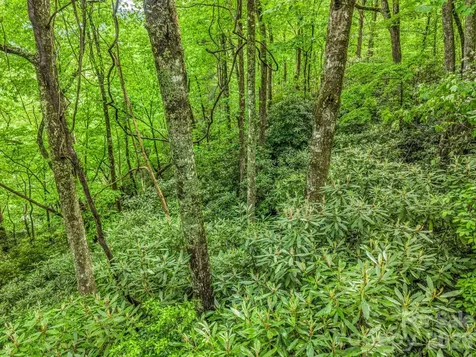 Tbd Toxaway Trail Lake Toxaway NC 28747