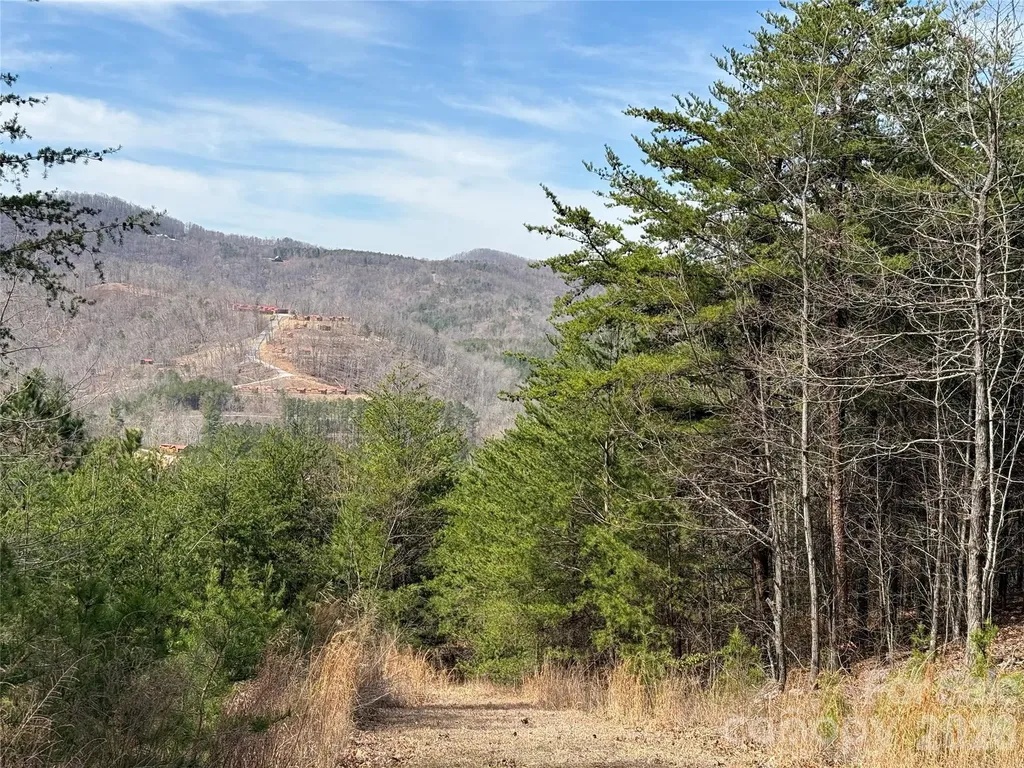 Lot 165 Pinegrove Drive Bostic NC 28018