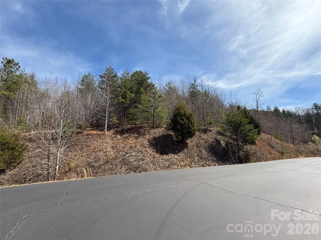 Lot 165 Pinegrove Drive Bostic NC 28018