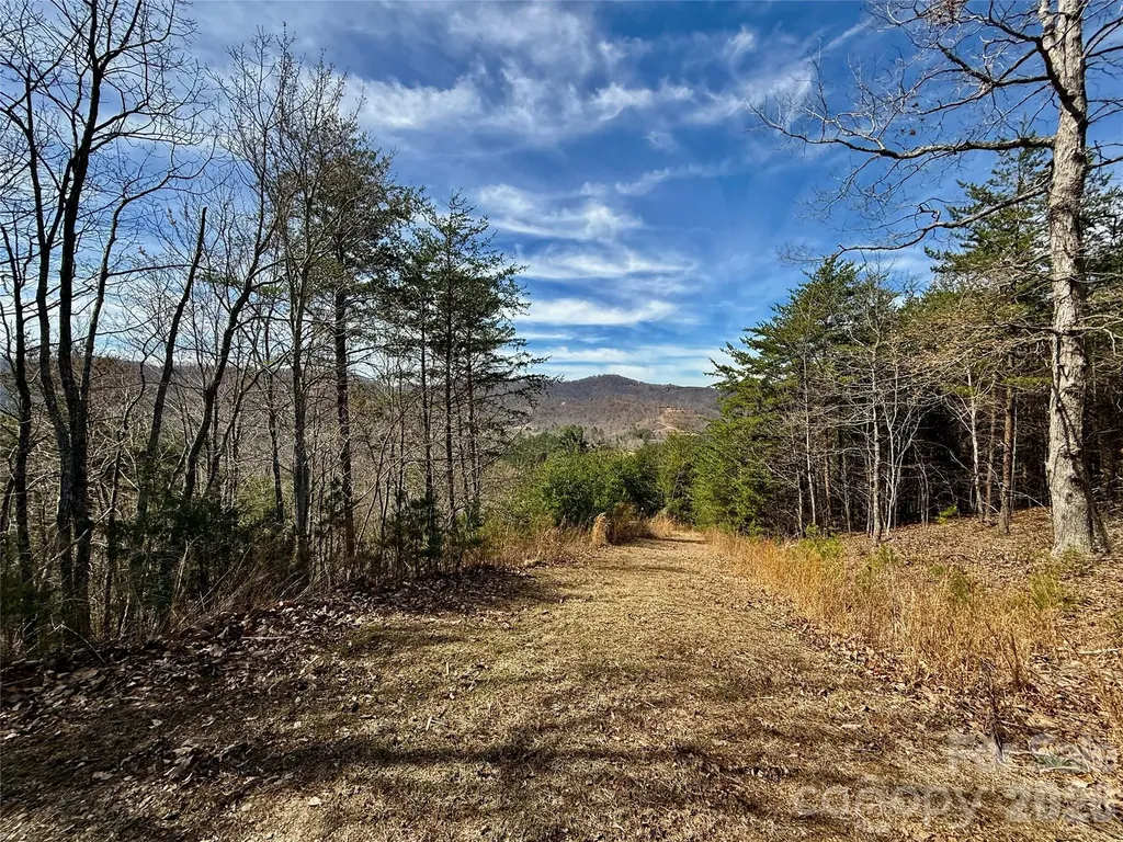 Lot 165 Pinegrove Drive Bostic NC 28018