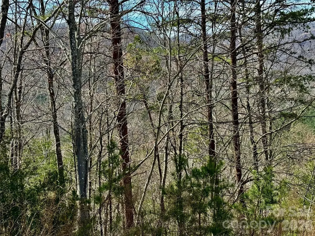 Lot 165 Pinegrove Drive Bostic NC 28018