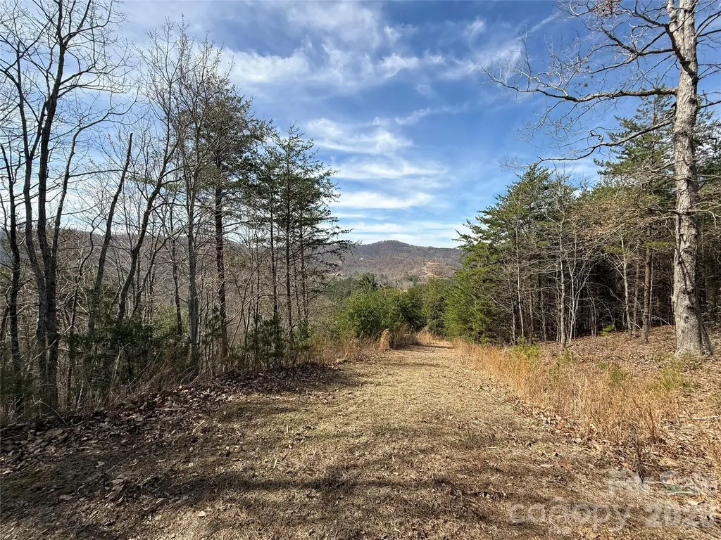 Lot 165 Pinegrove Drive Bostic NC 28018