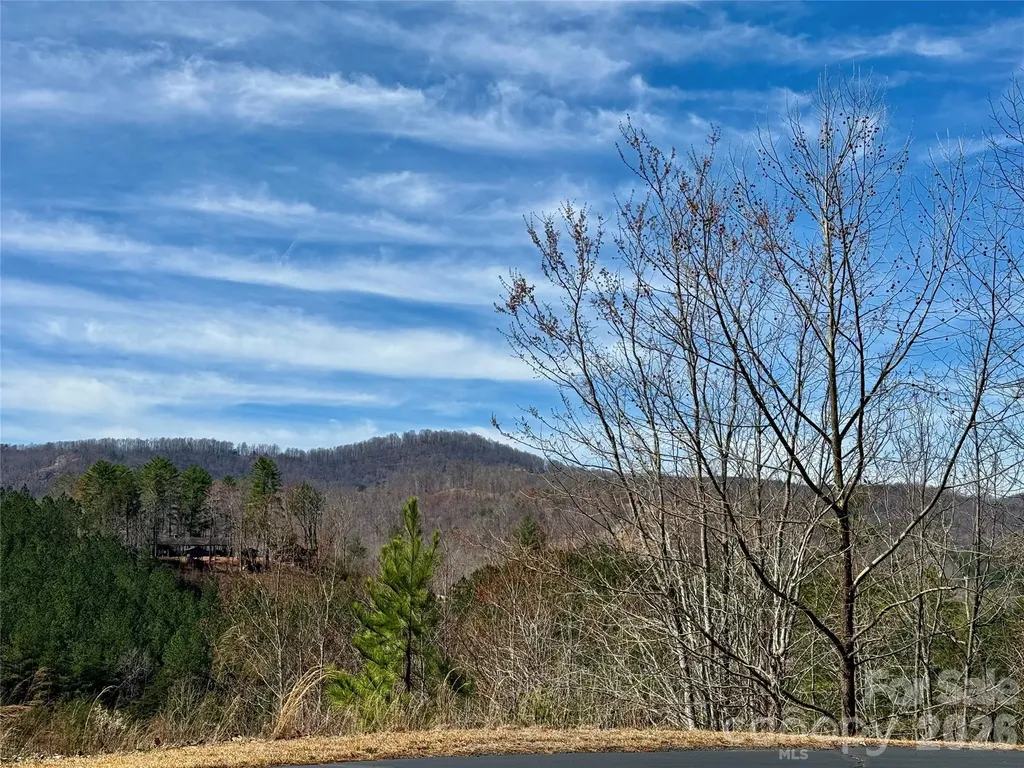 Lot 165 Pinegrove Drive Bostic NC 28018