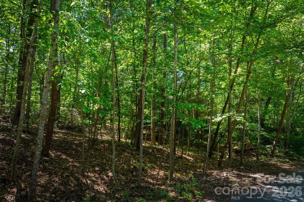 3835 Oak Drive Valdese NC 28690